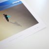 Morning Surf - Image 3